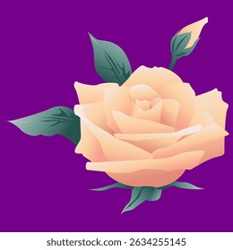 Arte vectorial de flor de rosa amarillo illustrator.eps