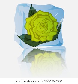 Yellow rose in ice. Decoration for drinks. Vector art