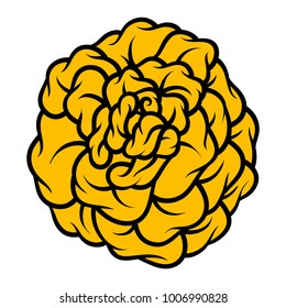 Yellow rose isolated on white background. Vector illustration.