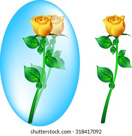 Yellow Rose object vector design