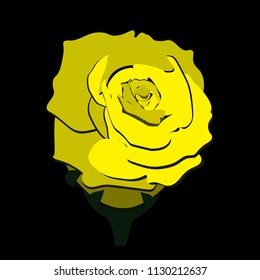 yellow rose on a black background and green