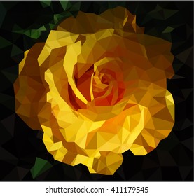 yellow rose on black background
