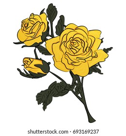 Yellow rose on green stem vector illustration