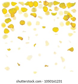 Yellow rose petals are falling down. The flowers are realistic. Vector illustration. Summer design.