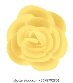 Yellow rose petals. vector illustration	
