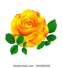 Yellow rose simple stem with leaves vintage on a white background vintage vector illustration editable hand draw