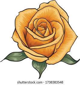 Yellow rose vector graphic. Beautiful hand-drawn rose flower.