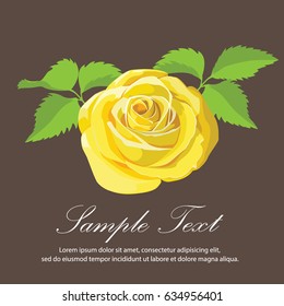 yellow rose . Vector illustration.