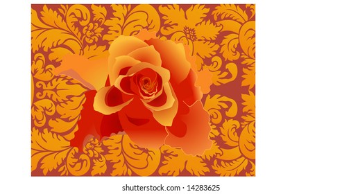 yellow rose&beautiful pattern