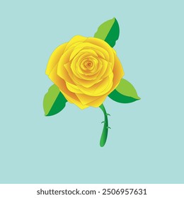 Yellow Roses Images,vector, Vector Flowers in Adobe Illustrator