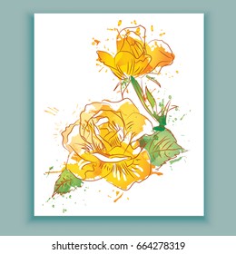 Yellow roses on white background. Watercolor beautiful flowers, Vector illustration.