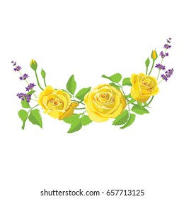 yellow rose.vector