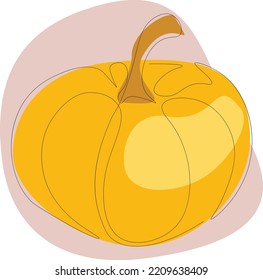 Yellow round pumpkin. One line vector illustration. Harvest vegetables, vegetable garden.