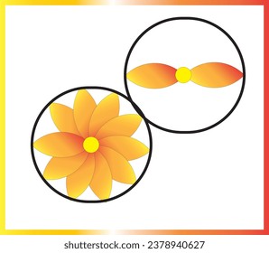 a yellow round shape cute flower