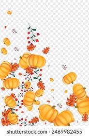 Yellow Rowan Background Transparent Vector. Red Food Card. Orange Leaves Print Set. Vegetable Cozy. Image Template.