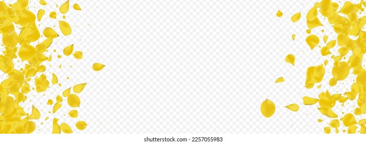 Yellow Sakura Blur Vector Panoramic Transparent Background. Beauty Lotus Pattern. Canary Cherry Spring Illustration. Lemon Peach Fall Backdrop.
