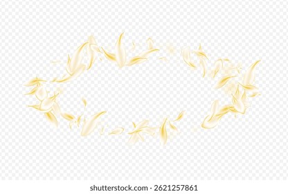 Yellow Sakura Falling Vector Transparent Background. Beige Flying Rose Template. Delicate Petal Beauty Pattern. Gold Peach Summer Cover. Spring Blossom Illustration.