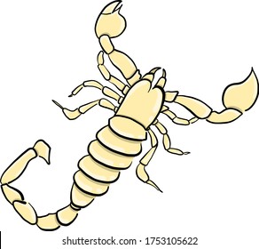 Yellow scorpion , illustration, vector on white background