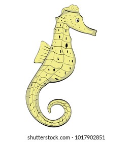 yellow seahorse illustration