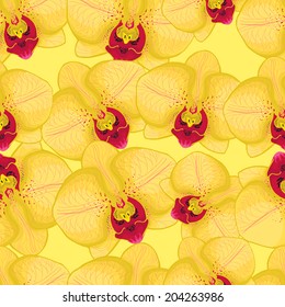 yellow seamless background with yellow orchids