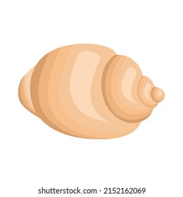 yellow seashell design over white