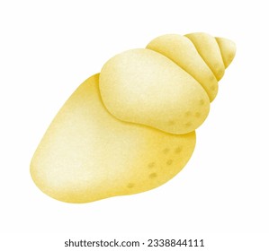 Yellow seashell. Marine life. Flat cartoon style vector illustration isolated on white background.