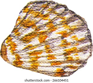 yellow seashell watercolor vector illustration
