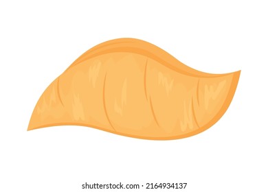 yellow shell icon on white background