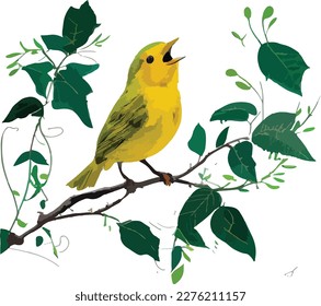 yellow singing bird vector design