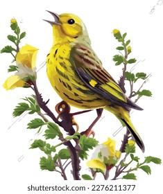 yellow singing bird vector design