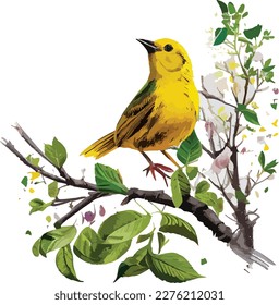 yellow singing bird vector design