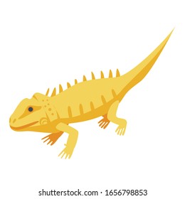 Yellow skin lizard icon. Isometric of yellow skin lizard vector icon for web design isolated on white background