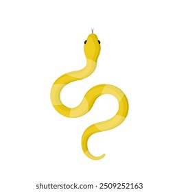 yellow snake isolated on white