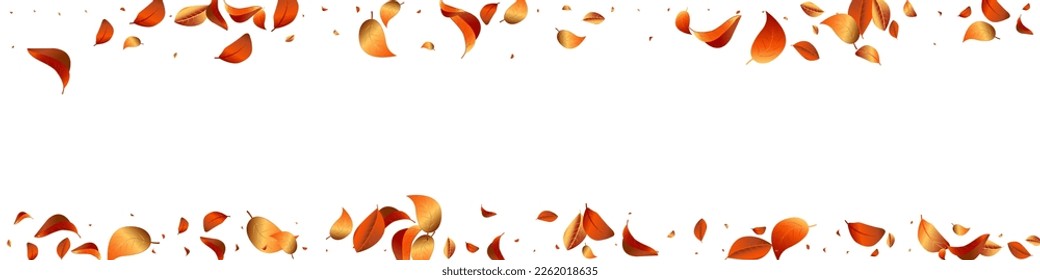 Vector de primavera solar amarillo Concepto de fondo panorámico blanco. Rama de hojas de movimiento. Afiche de la Selva Naranja Foliage. Deja El Patrón De Caída.