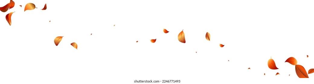 Yellow Solar Transparent Vector White Panoramic Background Backdrop. Fly Leaf Concept. Red Leaves Swirl Wallpaper. Foliage Spring Brochure.