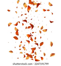 Yellow Solar Wind Vector White Background Brochure. Swirl Foliage Border. Forest Leaves Ecology Wallpaper. Leaf Herbal Pattern.