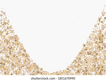 Yellow Sparkle Vector Transparent Background. Christmas Confetti Backdrop. Golden Shine Effect Postcard. Circle Holiday Texture.