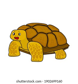 Yellow spiked African tortoise. Animal is smiling and isolated on white background