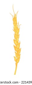 yellow spikelet, a sketch of rye or wheat hand-drawn in sketch style isolated element on white, for packaging bread flour. Vegetarian healthy food. Sketch drawing
