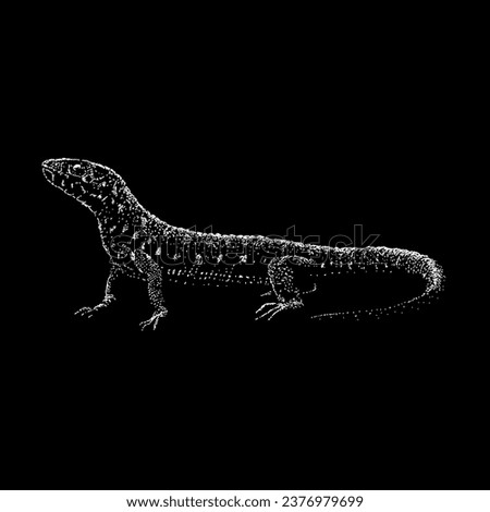 yellow spotted lizard hand drawing vector isolated on black background.
