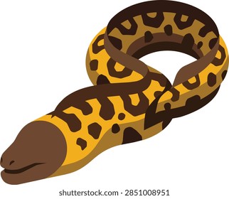 Yellow Spotted Moray Eel Vector Illustration Isolated on White