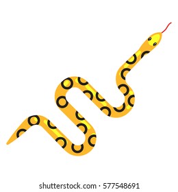Yellow spotted snake cartoon vector illustration on white. Reptile sandy desert poisonous animal.