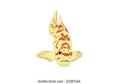 Yellow spotted tropical fish