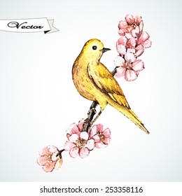 Yellow spring bird. Watercolor bird. Hand painting. Illustration for greeting cards, invitations, and other printing projects.