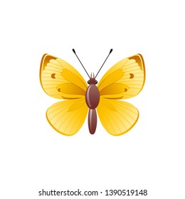 Yellow spring butertly, realistic 3d icon. Cute cartoon moth, natural symbol. Vector illustratiob isolated on white background