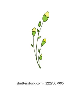 yellow spring flower. Isolated vector elements for design