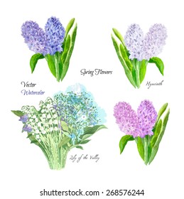 Yellow spring flowers. Vector watercolor illustration