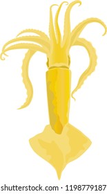 yellow squid on white background, vector illustration