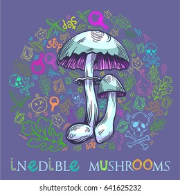 Yellow staining mushroom in engraved style. Fully editable vector mushroom illustration with warning icons, nature elements and lettering.