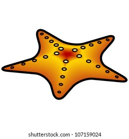 A yellow star fish.